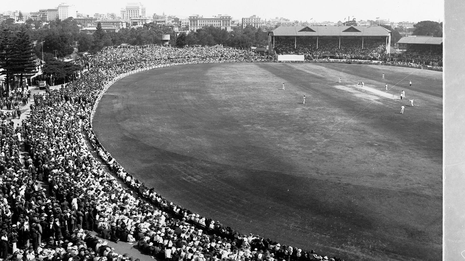 Cricket at Adelaide Oval