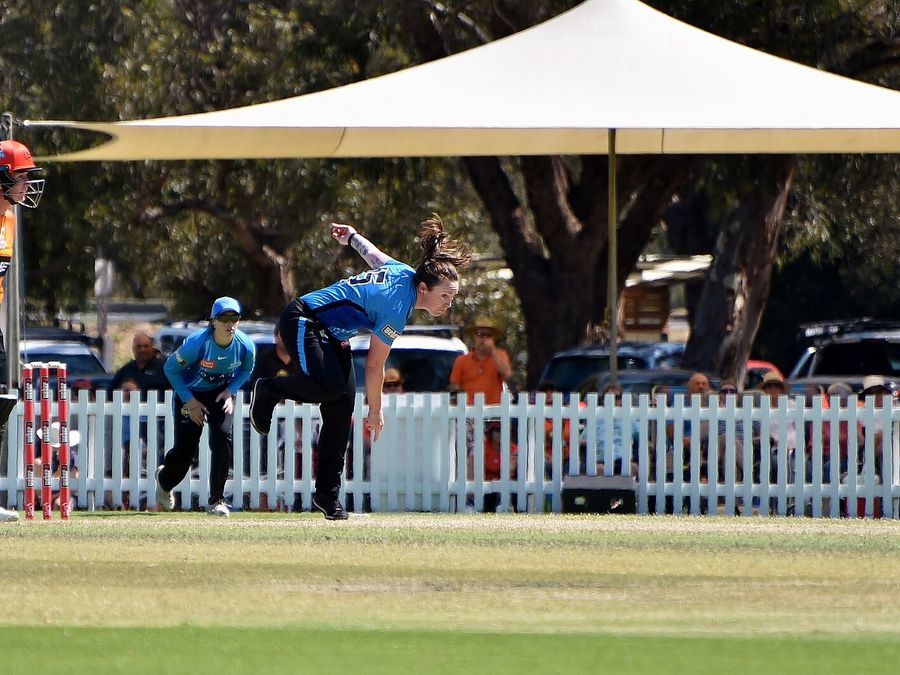 WBBL|12 guide: teams, dates and finals