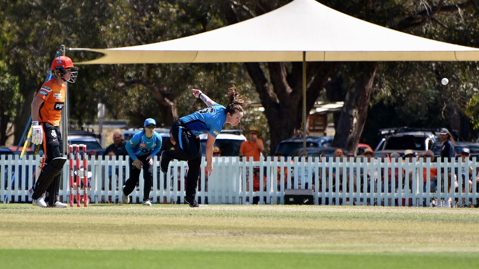 2021–22 WBBL PS v AS 21-10-30 Coyte (02)